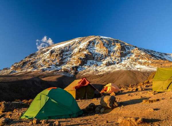 8 Days Kilimanjaro Climbing Lemosho Route.