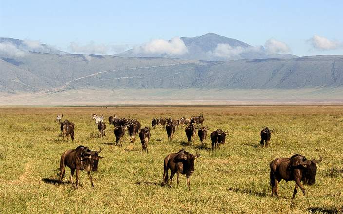 Ngorongoro Crater