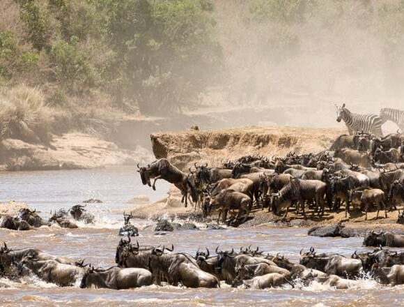 4 Day Serengeti, Ngorongoro and Manyara