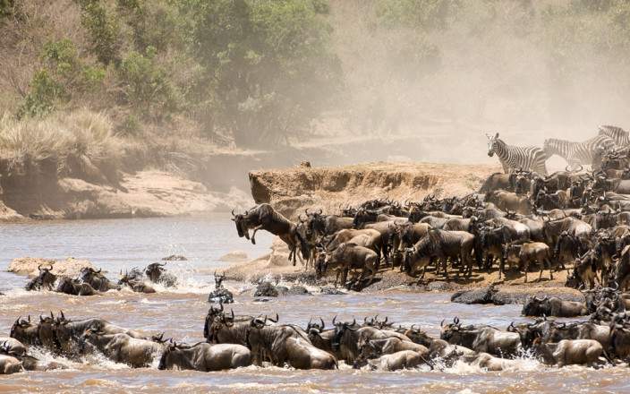 4 Day Serengeti, Ngorongoro and Manyara